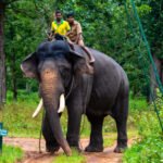 ಅರ್ಜುನ ಆನೆ ಹೆಸರಲ್ಲಿ ವಾರ್ಷಿಕ ಪ್ರಶಸ್ತಿ: ಗಜಪಯಣದಲ್ಲಿ ಪ್ರಥಮ ಸಾಲಿನ ಪ್ರಶಸ್ತಿ ಪ್ರದಾನ